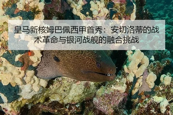 huang-ma-xin-he-mu-ba-pei-xi-jia-shou-xiu-an-qie-luo-di-de-zhan-shu-ge-ming-yu-yin-he-zhan-jian-de-rong-he-tiao-zhan-2-692.jpg
